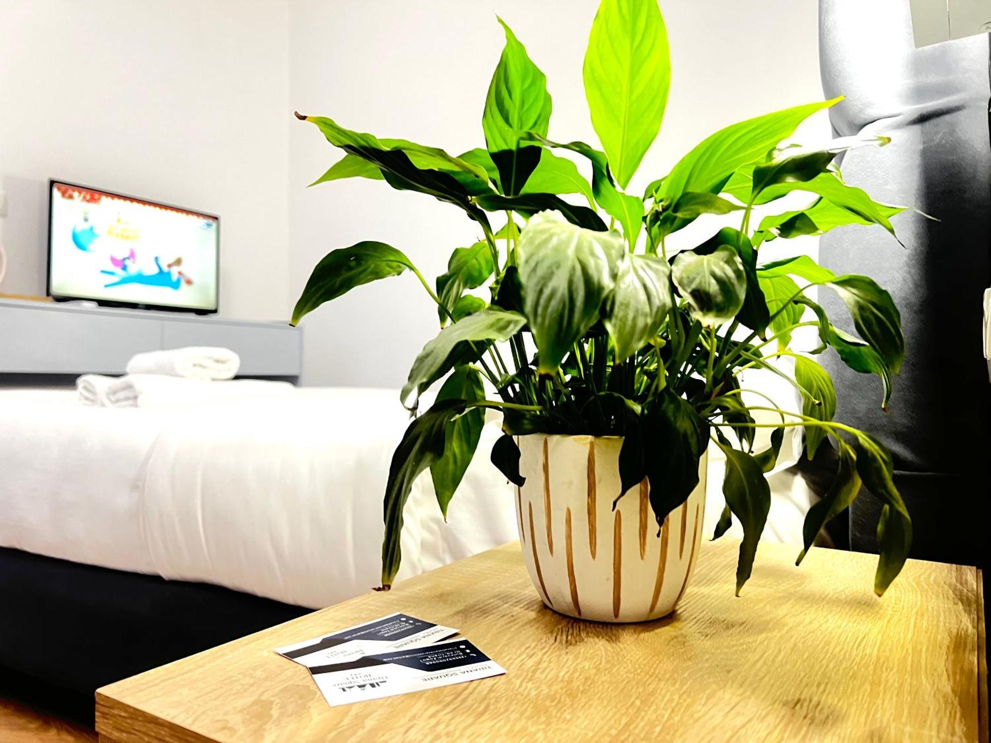 Tirana Square Hotel מראה חיצוני תמונה